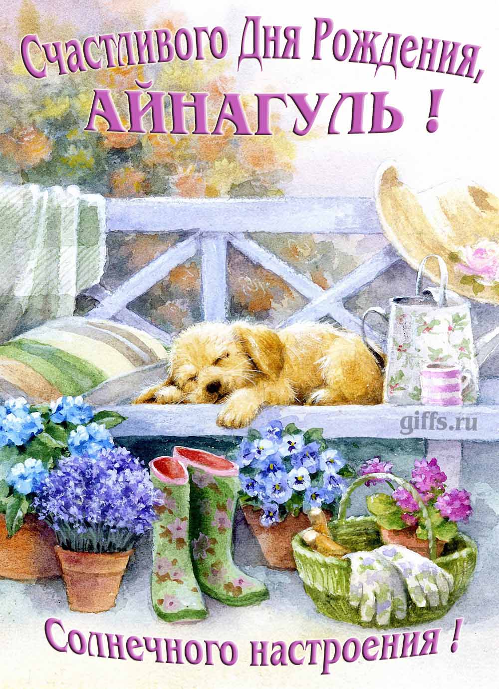 Скачать открытку с днем рождения дарья