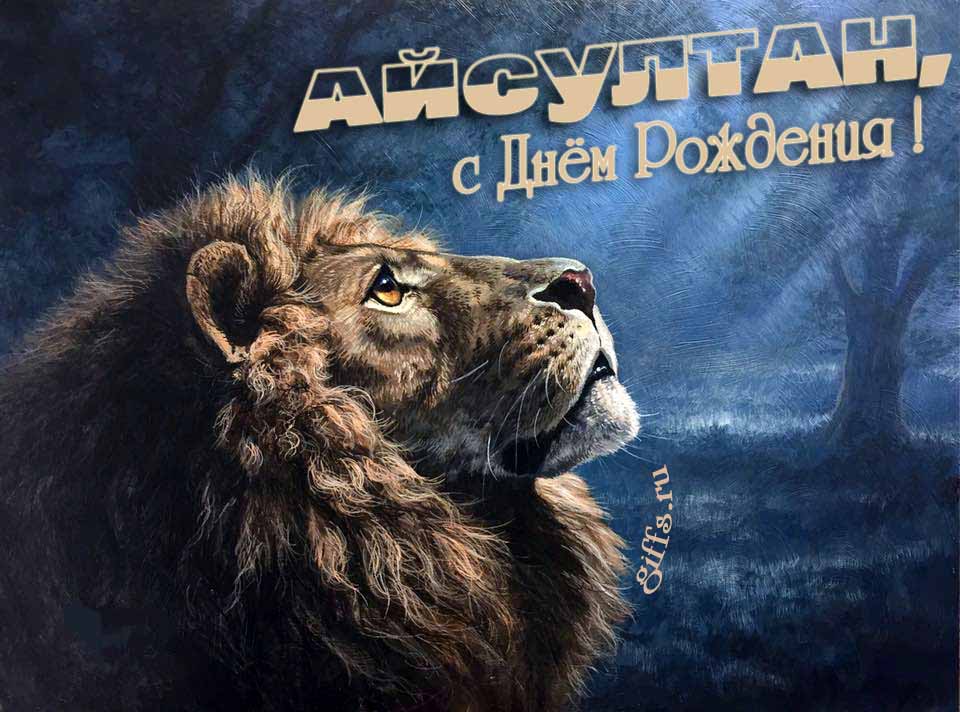Крутая открытка со львом смотрящим на лунный свет и текстом "Айсултан, с днём рождения!". Крутая открытка со львом смотрящим на лунный свет и текстом "Айсултан, с днём рождения!".