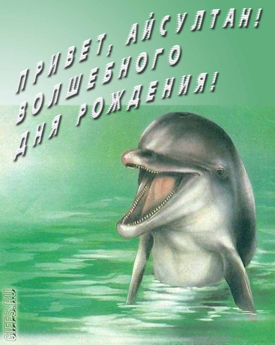 Прикольная картинка с дельфином "Привет, Айсултан! Волшебного дня рождения!". Прикольная картинка с дельфином "Привет, Айсултан! Волшебного дня рождения!".