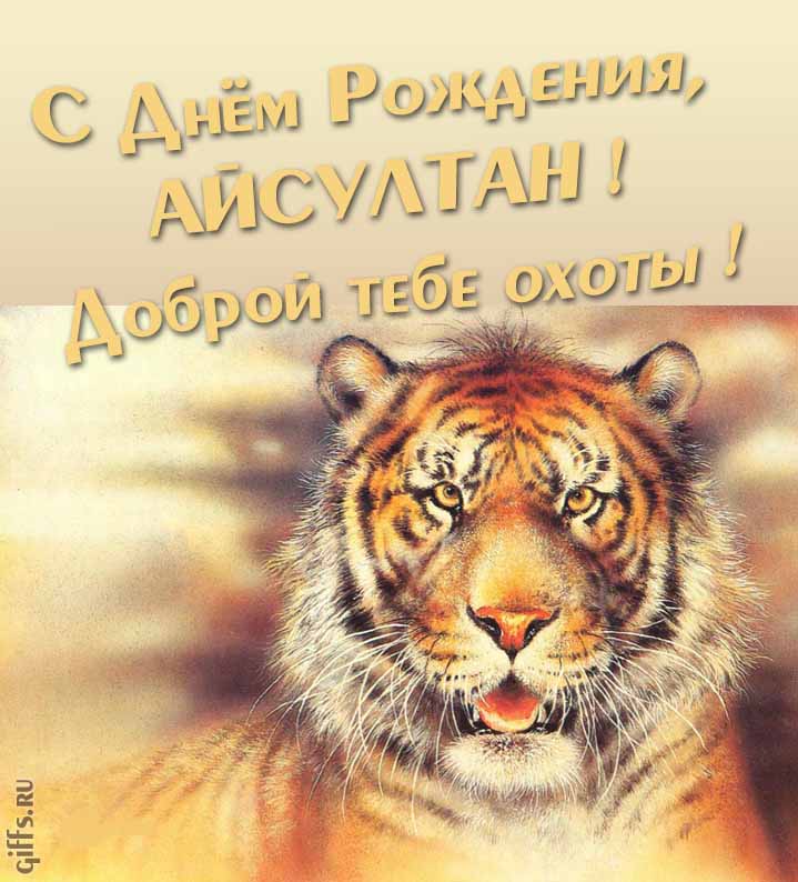 Прикольная картинка с суровым тигром "С днём рождения, Айсултан! Доброй тебе охоты!". Прикольная картинка с суровым тигром "С днём рождения, Айсултан! Доброй тебе охоты!".