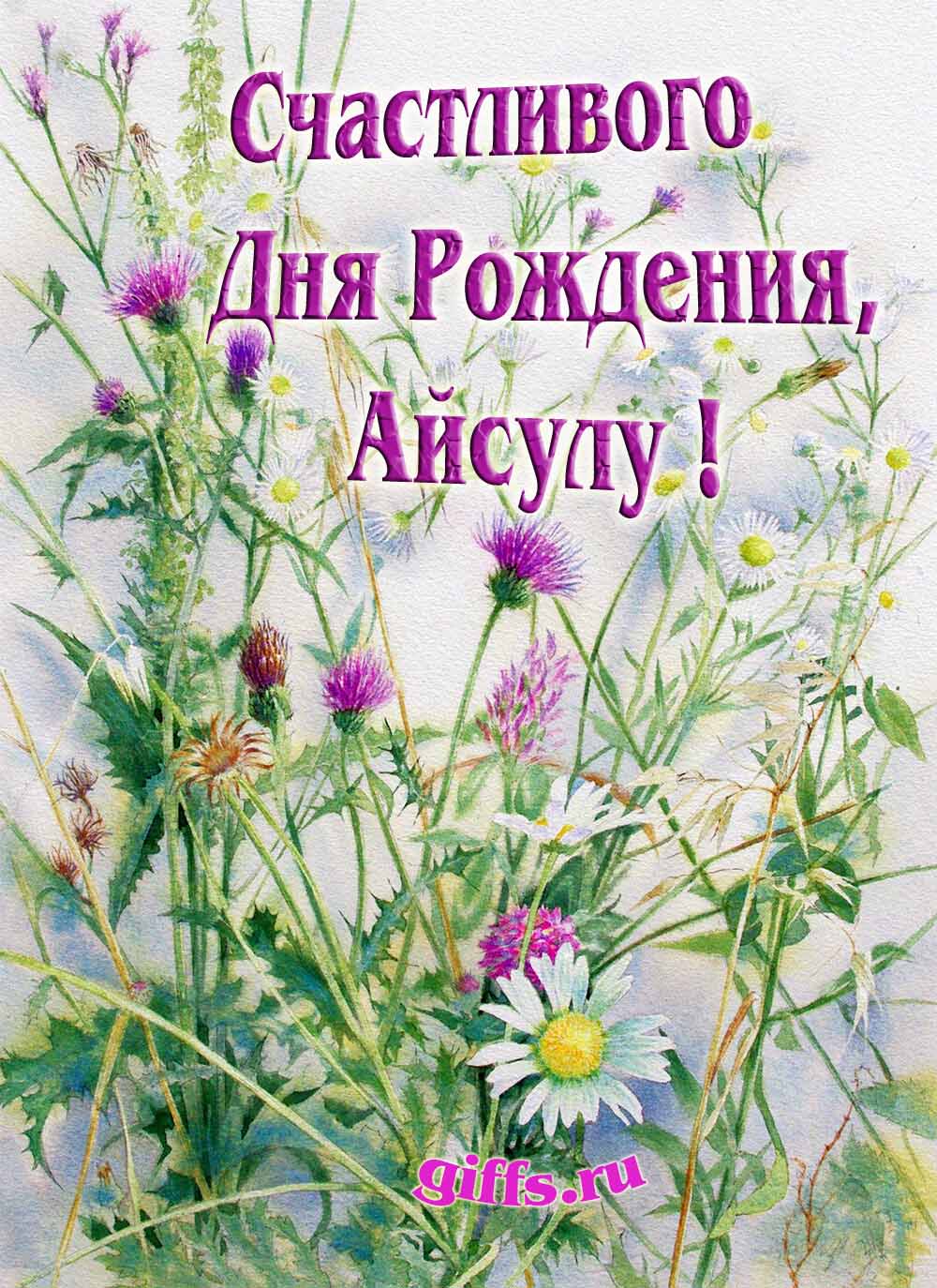 Картинка с луговыми цветами и пожеланием счастливого дня рождения девушке с именем Айсулу. Картинка с луговыми цветами и пожеланием счастливого дня рождения девушке с именем Айсулу.