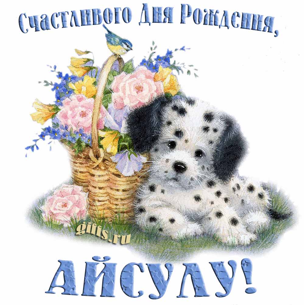 Прикольная и смешная открытка с корзиной цветов и собачкой для пожелания счастливого дня рождения Айсулу. Прикольная и смешная открытка с корзиной цветов и собачкой для пожелания счастливого дня рождения Айсулу.