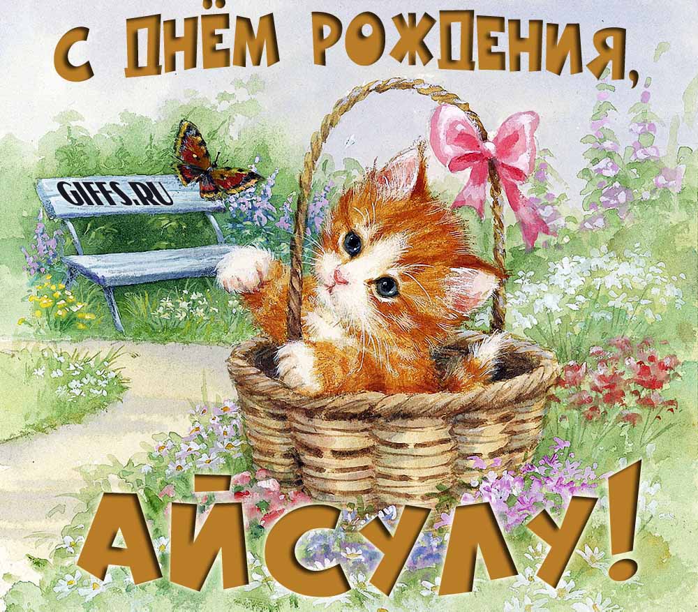 Милая летняя открытка с рыжим котёнком и поздравлением в день рождения для Айсулу. Милая летняя открытка с рыжим котёнком и поздравлением в день рождения для Айсулу.