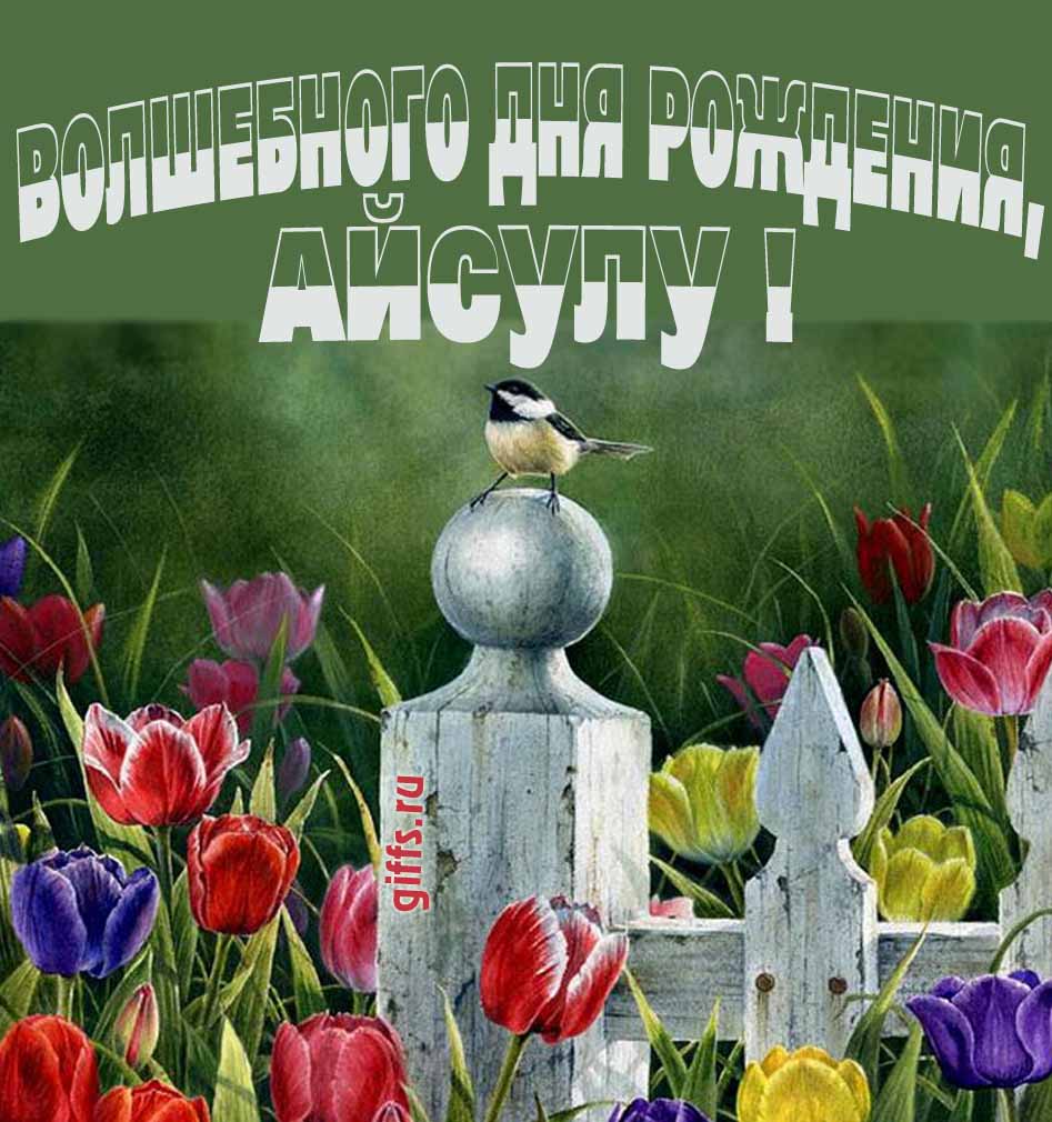 Нежная картинка с разноцветными тюльпанами и надписью "Волшебного дня рождения, Айсулу!". Нежная картинка с разноцветными тюльпанами и надписью "Волшебного дня рождения, Айсулу!".