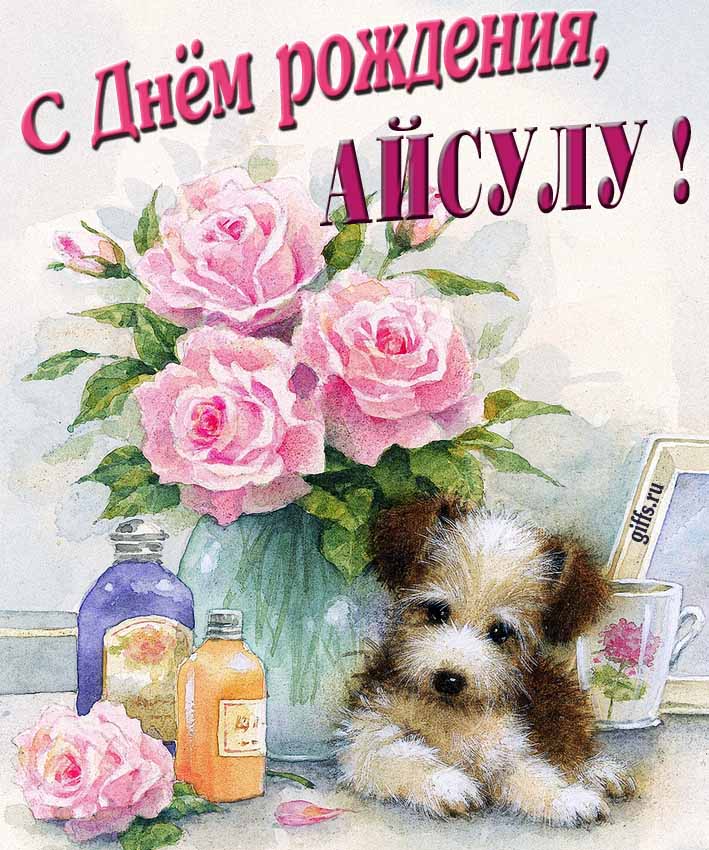 Новая нежная открытка с днём рождения Айсулу с розами с собачкой. Новая нежная открытка с днём рождения Айсулу с розами с собачкой.
