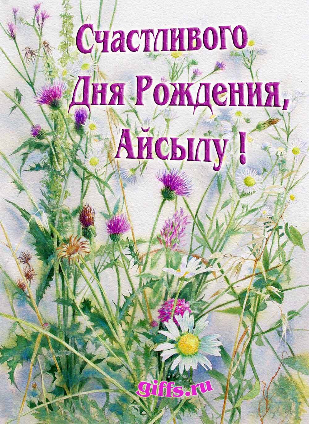 Картинка с луговыми цветами и пожеланием счастливого дня рождения девушке Айсыле. Картинка с луговыми цветами и пожеланием счастливого дня рождения девушке Айсыле.