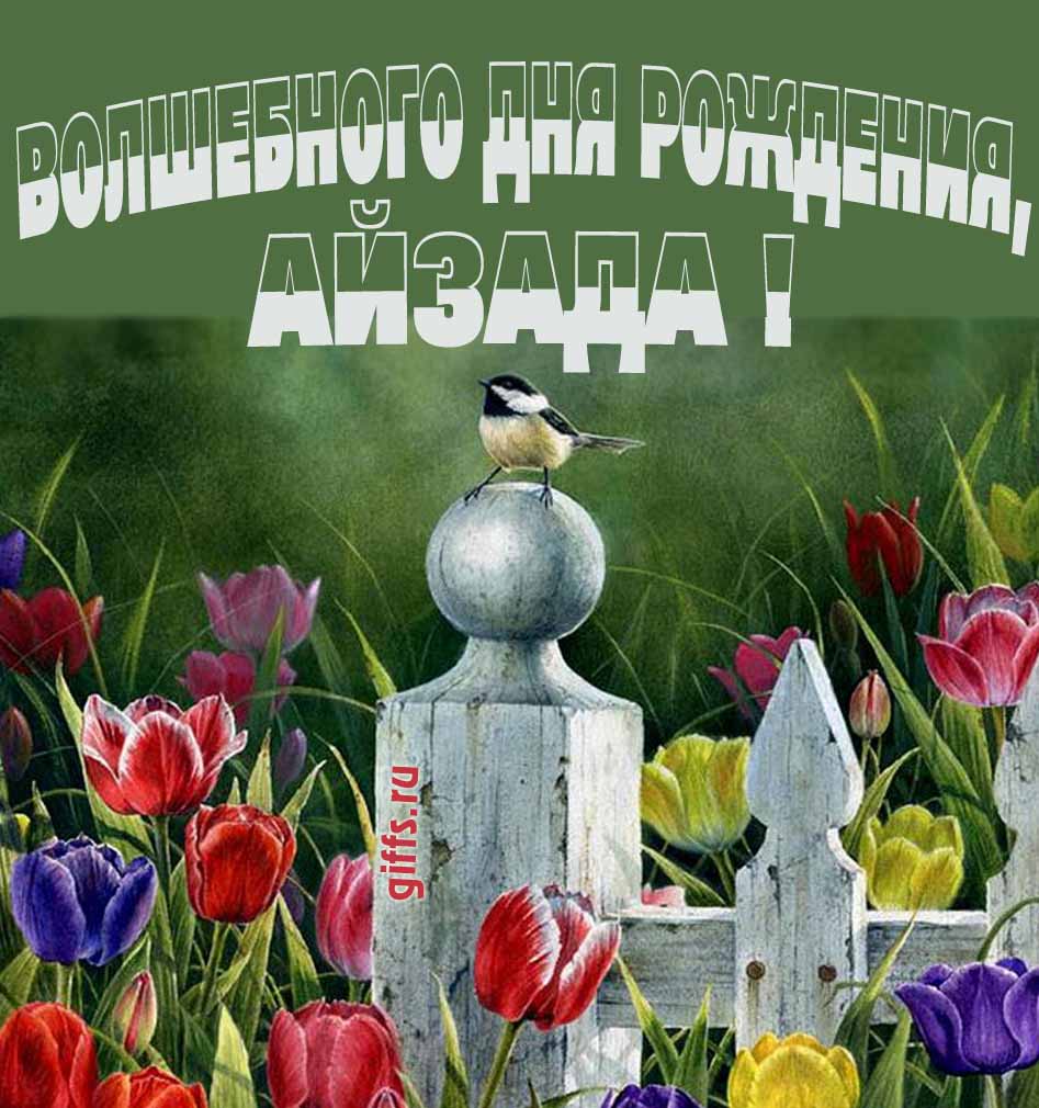Нежная картинка с разноцветными тюльпанами и надписью "Волшебного дня рождения, Айзада!". Нежная картинка с разноцветными тюльпанами и надписью "Волшебного дня рождения, Айзада!".