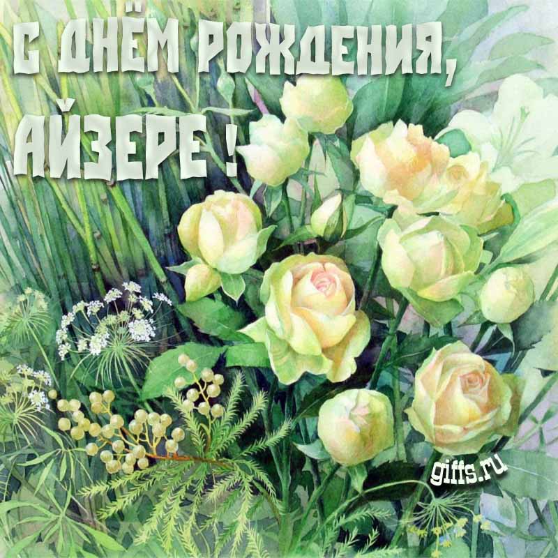 Летняя креативная открытка с белыми розами в траве на день рождения Айзере. Летняя креативная открытка с белыми розами в траве на день рождения Айзере.