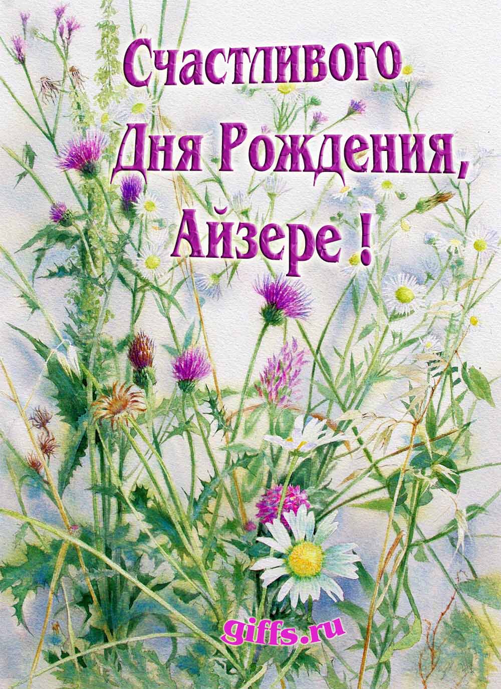 Картинка с луговыми цветами и пожеланием счастливого дня рождения девушке Айзере. Картинка с луговыми цветами и пожеланием счастливого дня рождения девушке Айзере.