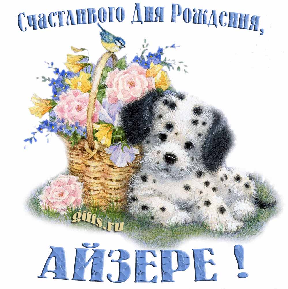 Прикольная и смешная открытка с корзиной цветов и собачкой для пожелания счастливого дня рождения Айзере. Прикольная и смешная открытка с корзиной цветов и собачкой для пожелания счастливого дня рождения Айзере.