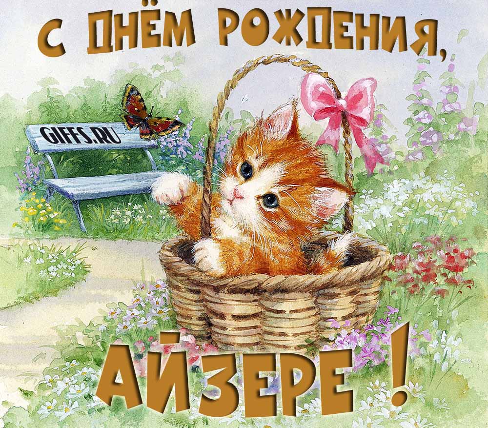 Милая летняя открытка с рыжим котёнком и поздравлением в день рождения для Айзере. Милая летняя открытка с рыжим котёнком и поздравлением в день рождения для Айзере.