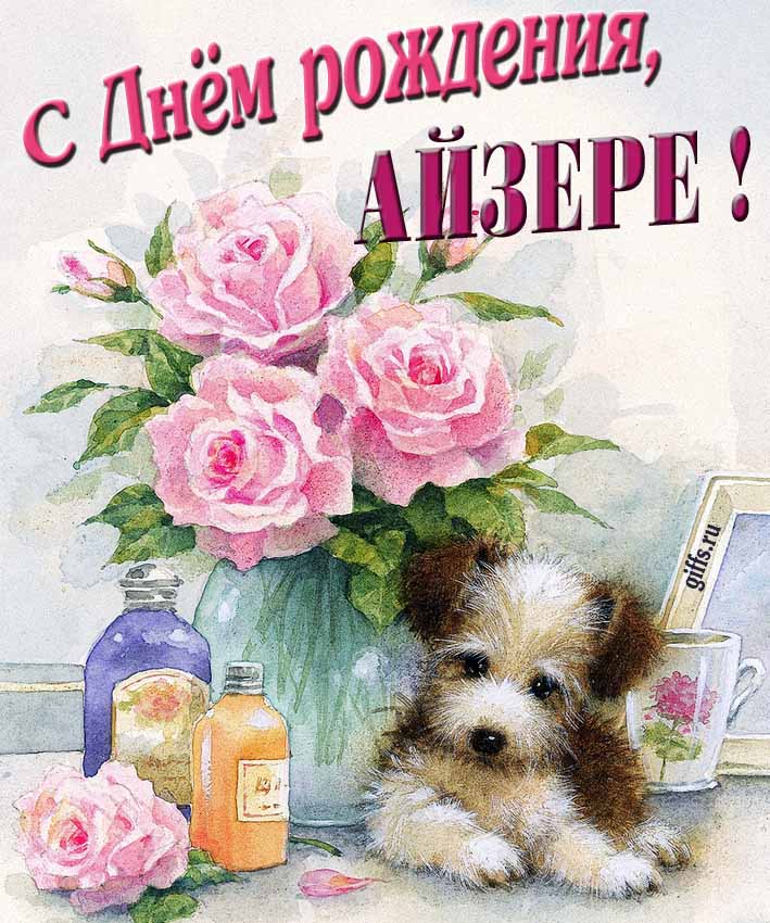 Новая нежная открытка с днём рождения Айзере с розами с собачкой. Новая нежная открытка с днём рождения Айзере с розами с собачкой.