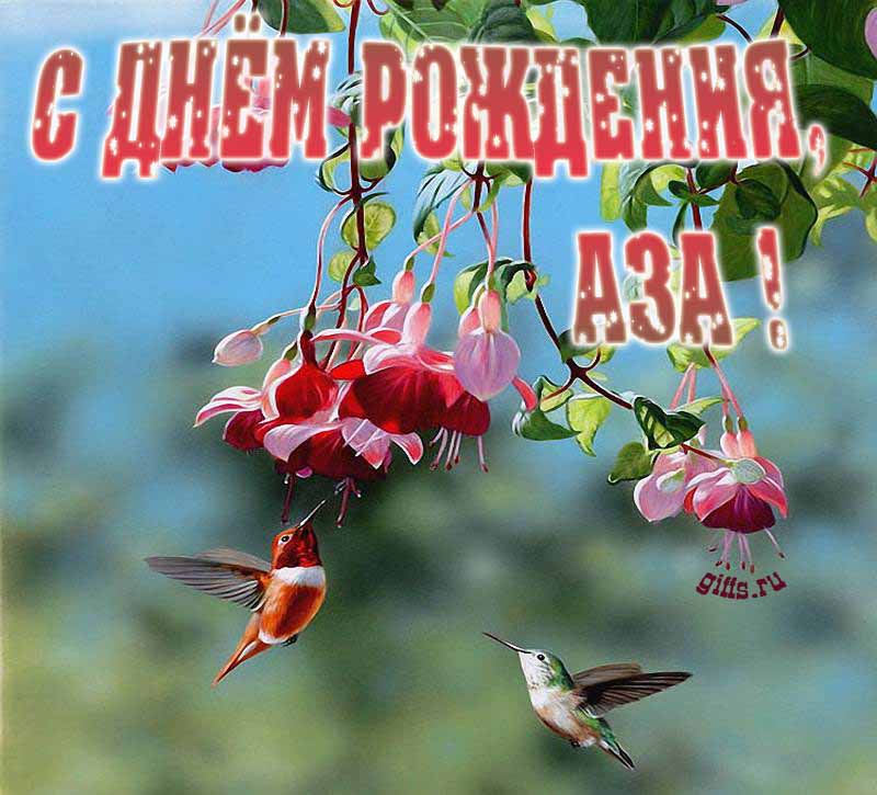 Яркая летняя открытка с птичками в цветах ко дню рождения Азы. Яркая летняя открытка с птичками в цветах ко дню рождения Азы.