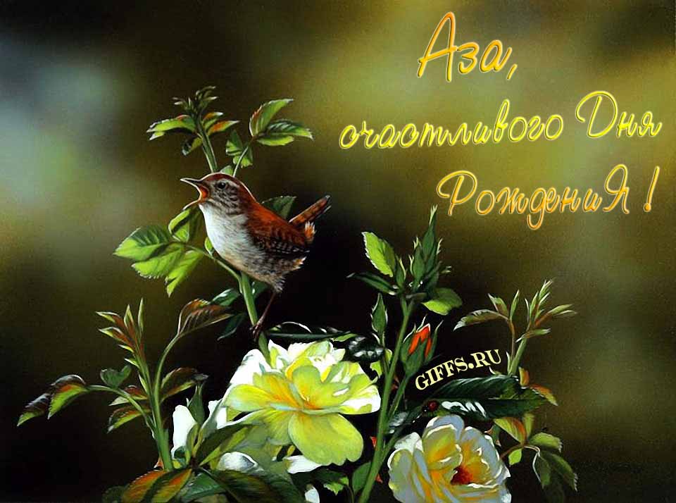 Прикольная картинка с кричащей птичкой : "Аза, счастливого дня рождения!". Прикольная картинка с кричащей птичкой : "Аза, счастливого дня рождения!".