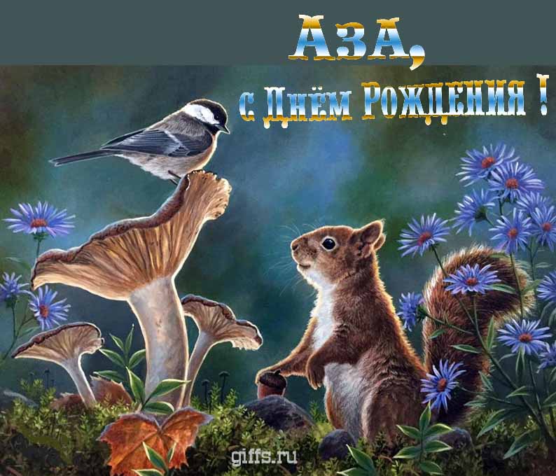 Прикольная и смешная открытка с белочкой среди грибов для поздравления Азы с ДР. Прикольная и смешная открытка с белочкой среди грибов для поздравления Азы с ДР.