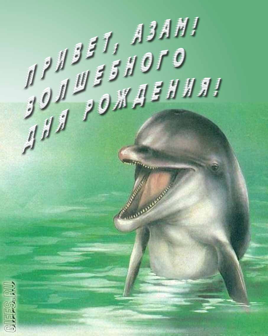 Прикольная картинка с дельфином "Привет, Азам! Волшебного дня рождения!".