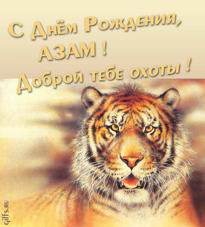Прикольная картинка с суровым тигром "С днём рождения, Азам! Доброй тебе охоты!".