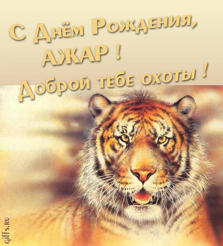 Прикольная картинка с суровым тигром "С днём рождения, Ажар! Доброй тебе охоты!". Прикольная картинка с суровым тигром "С днём рождения, Ажар! Доброй тебе охоты!".