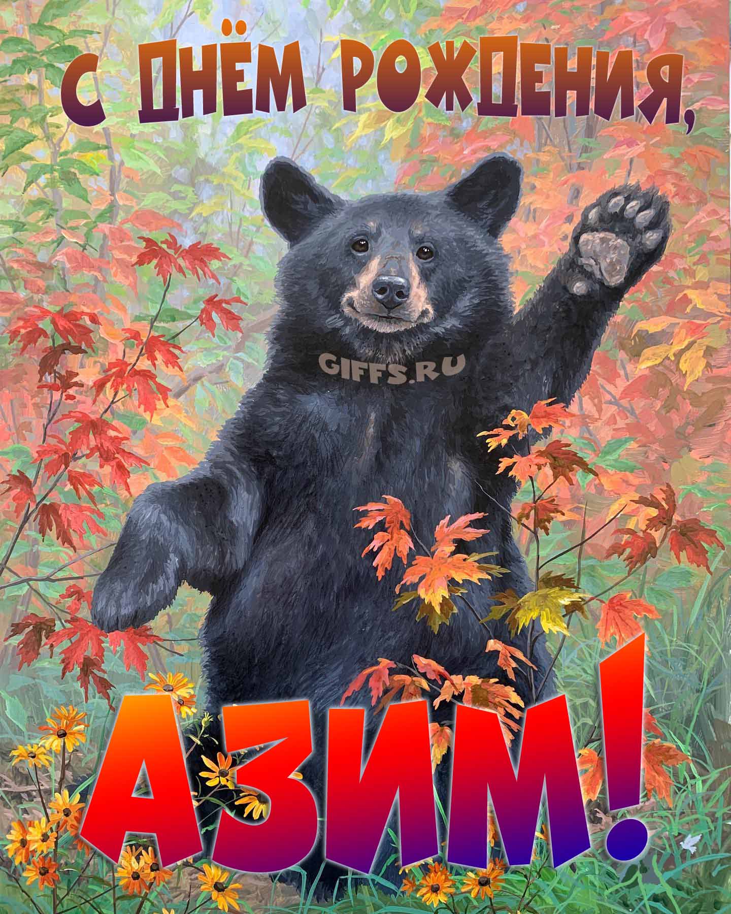 Смешная и прикольная осенняя картинка с машущим медведем "С днём рождения, Азим!". Смешная и прикольная осенняя картинка с машущим медведем "С днём рождения, Азим!".