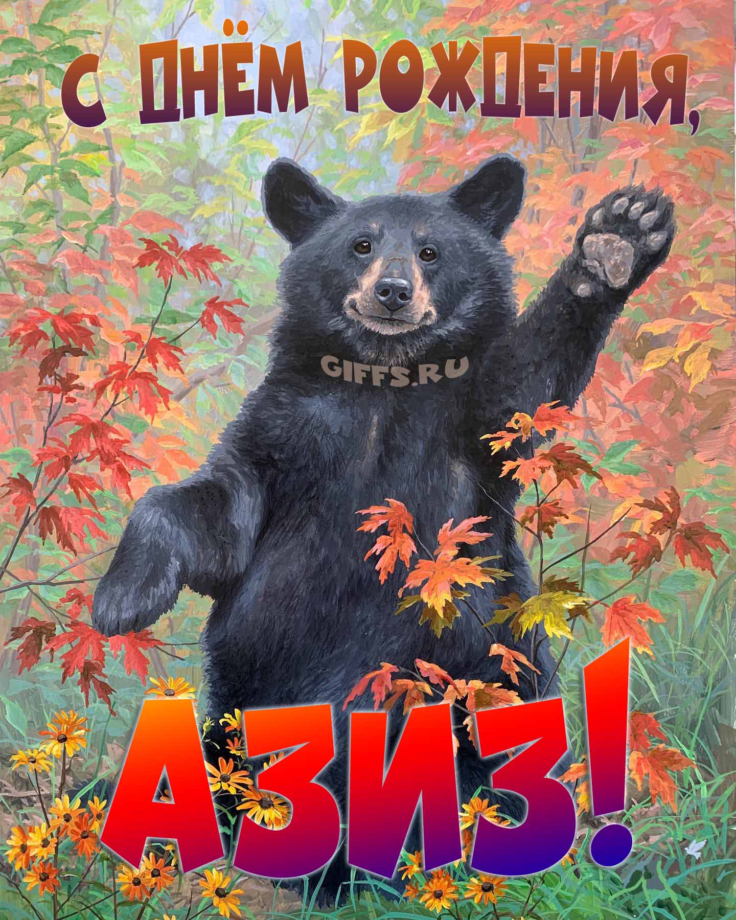 Смешная и прикольная осенняя картинка с машущим медведем "С днём рождения, Азиз!".