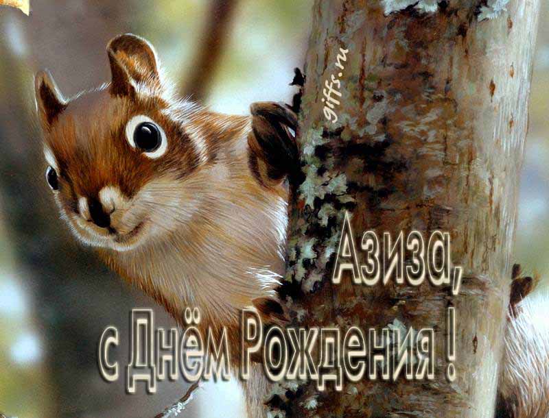 Смешная картинка с белочкой для поздравления Азизы с ДР. Смешная картинка с белочкой для поздравления Азизы с ДР.