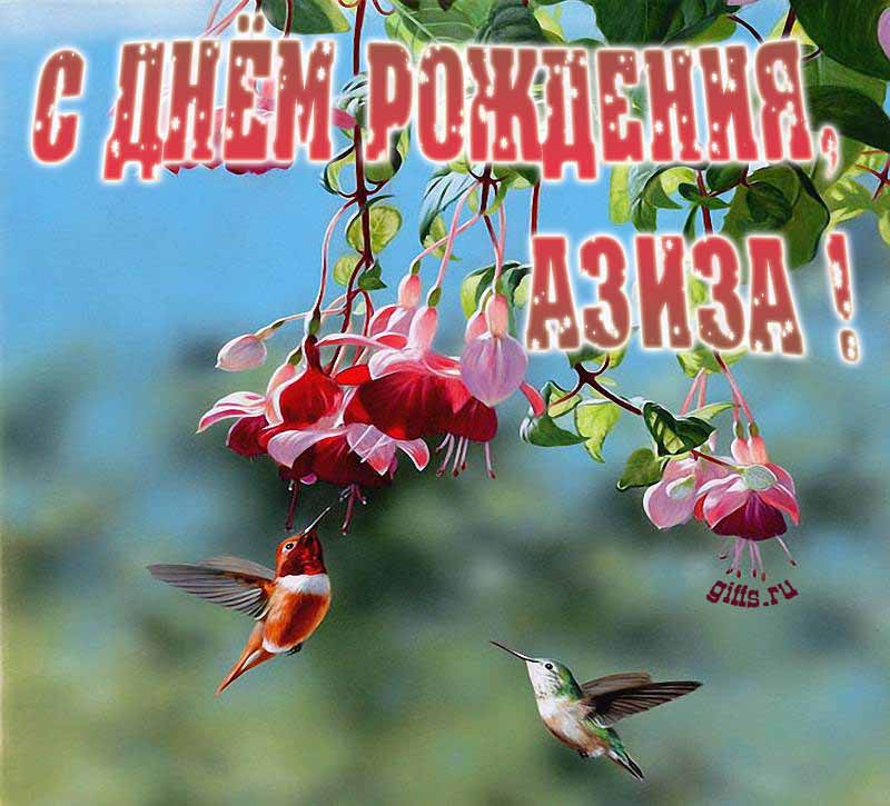 Яркая летняя открытка с птичками в цветах ко дню рождения Азизы. Яркая летняя открытка с птичками в цветах ко дню рождения Азизы.