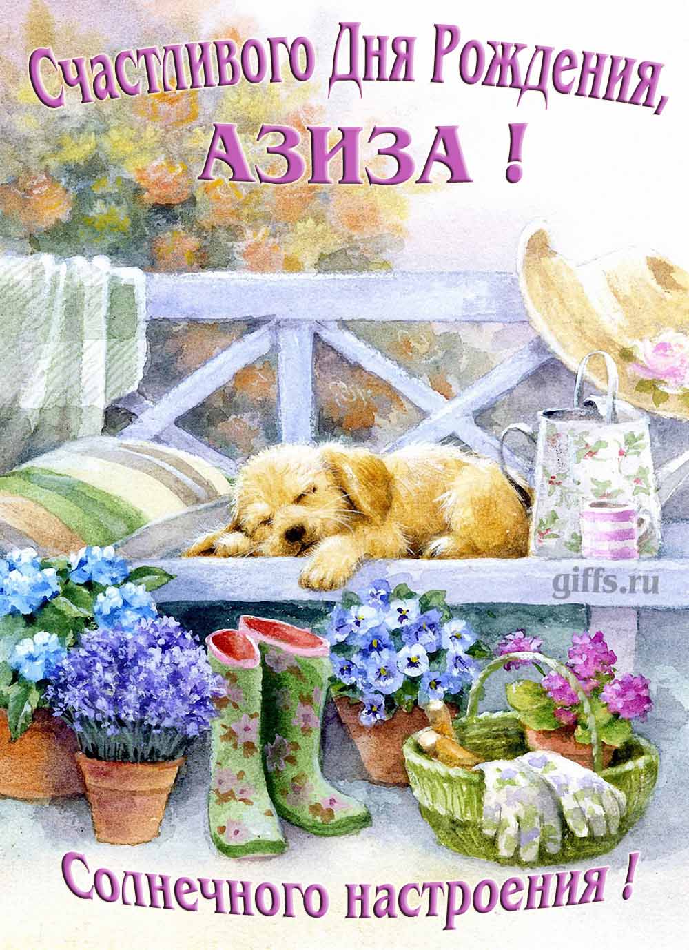 Прикольная картинка с собачкой и пожеланием Азизе счастливого дня рождения и солнечного настроения. Прикольная картинка с собачкой и пожеланием Азизе счастливого дня рождения и солнечного настроения.
