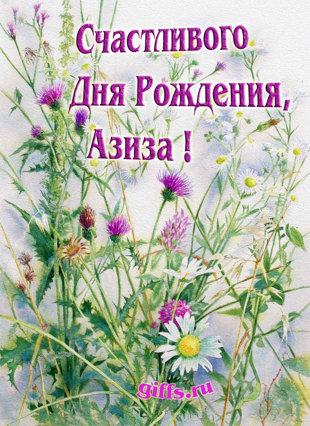 Картинка с луговыми цветами и пожеланием счастливого дня рождения девушке Азизе. Картинка с луговыми цветами и пожеланием счастливого дня рождения девушке Азизе.