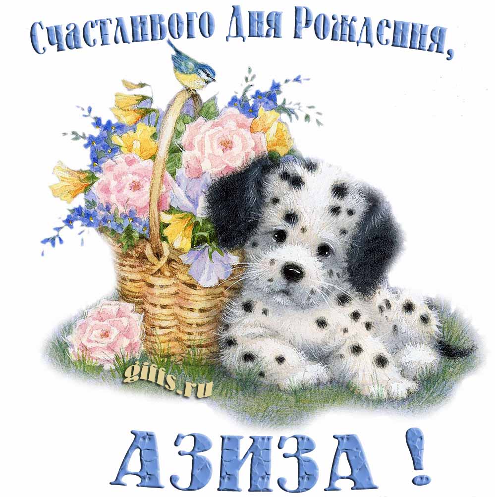 Прикольная и смешная открытка с корзиной цветов и собачкой для пожелания счастливого дня рождения Азизе. Прикольная и смешная открытка с корзиной цветов и собачкой для пожелания счастливого дня рождения Азизе.