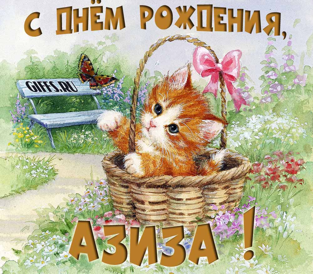 Милая летняя открытка с рыжим котёнком и поздравлением в день рождения для Азизы. Милая летняя открытка с рыжим котёнком и поздравлением в день рождения для Азизы.