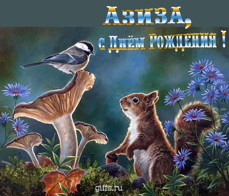 Прикольная и смешная открытка с белочкой среди грибов для поздравления Азизы с ДР. Прикольная и смешная открытка с белочкой среди грибов для поздравления Азизы с ДР.