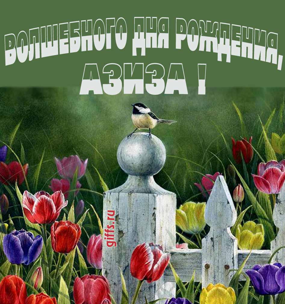 Нежная картинка с разноцветными тюльпанами и надписью "Волшебного дня рождения, Азиза!". Нежная картинка с разноцветными тюльпанами и надписью "Волшебного дня рождения, Азиза!".