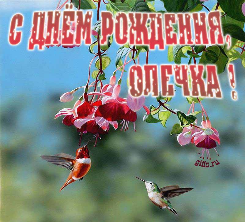 Яркая летняя открытка с птичками в цветах ко дню рождения Ольги. Яркая летняя открытка с птичками в цветах ко дню рождения Ольги.