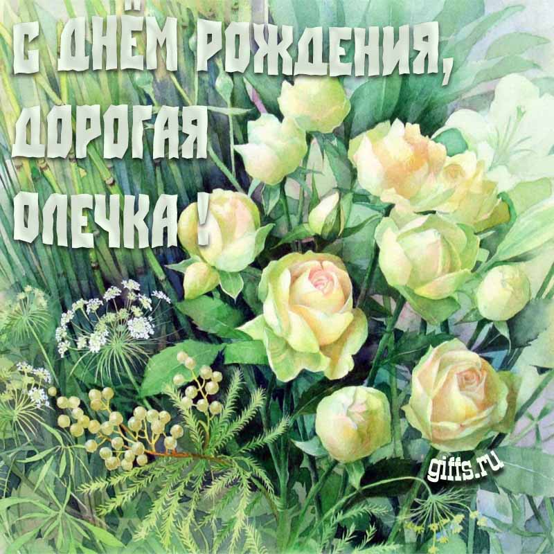 Летняя креативная открытка с белыми розами в траве на день рождения Ольге. Летняя креативная открытка с белыми розами в траве на день рождения Ольге.