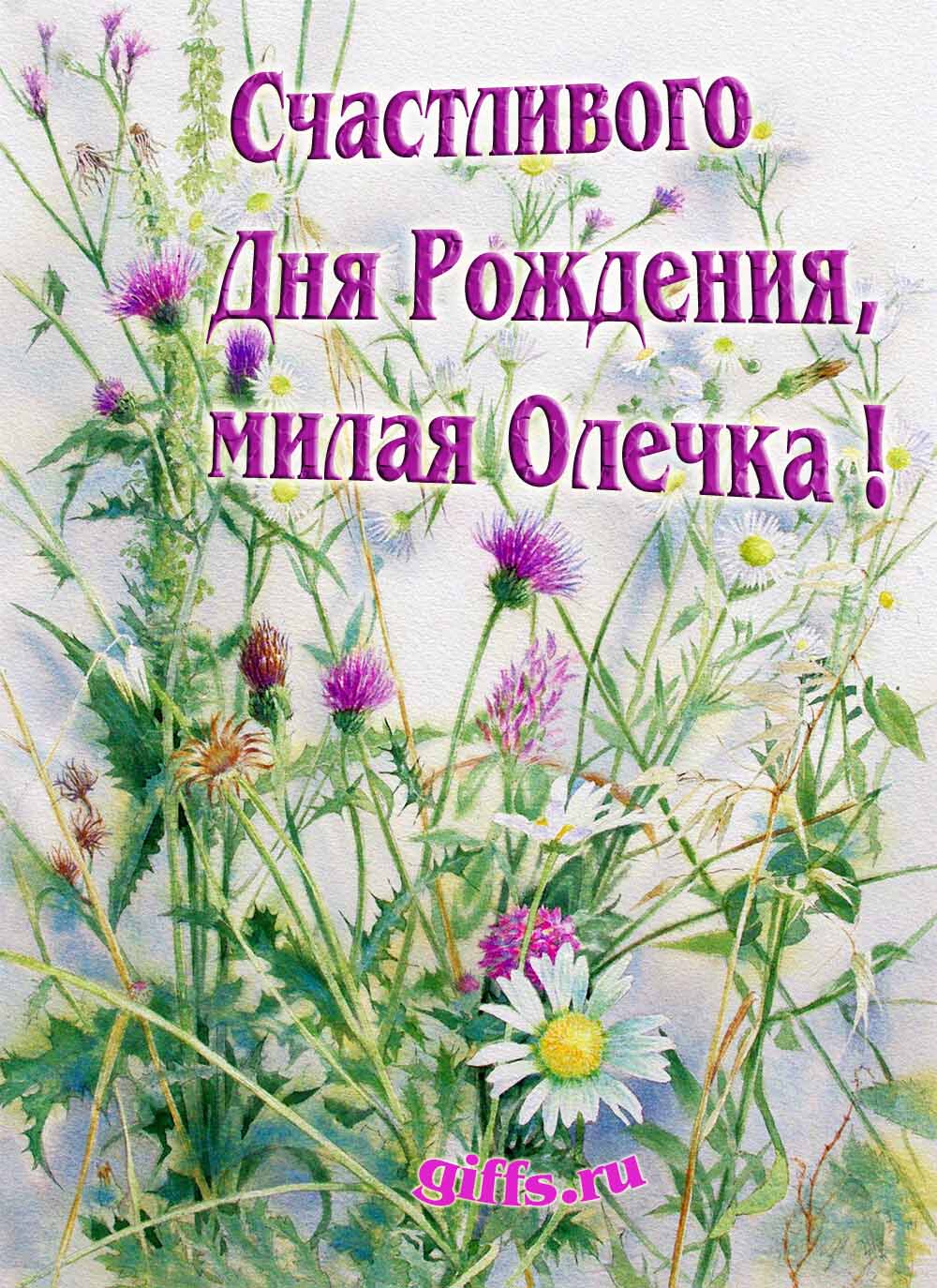 Картинка с луговыми цветами и пожеланием счастливого дня рождения девушке Ольге. Картинка с луговыми цветами и пожеланием счастливого дня рождения девушке Ольге.