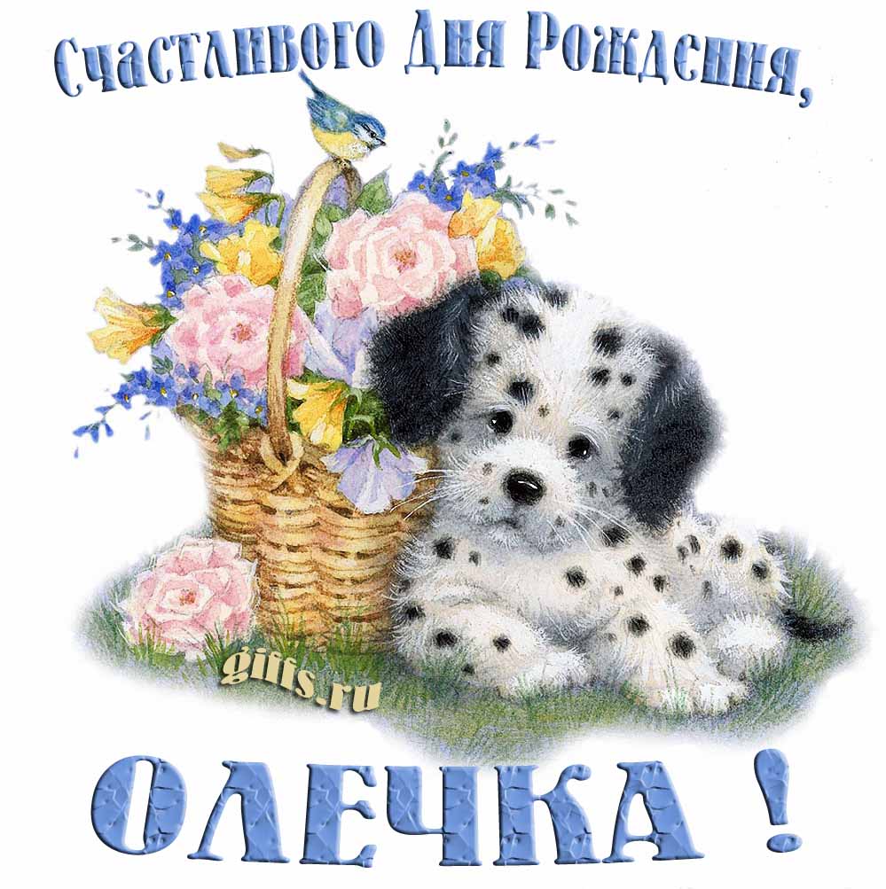 Прикольная и смешная открытка с корзиной цветов и собачкой для пожелания счастливого дня рождения Олечка. Прикольная и смешная открытка с корзиной цветов и собачкой для пожелания счастливого дня рождения Олечка.