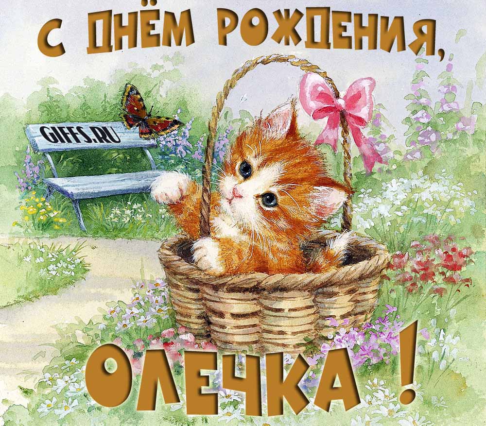 Милая летняя открытка с рыжим котёнком и поздравлением в день рождения для Ольги. Милая летняя открытка с рыжим котёнком и поздравлением в день рождения для Ольги.