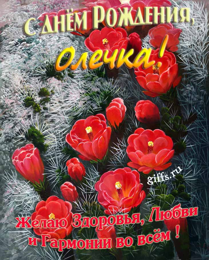 Шикарные открытки с днём Рождения, Ольга! С пожеланием здоровья, любви и гармонии во всём! Шикарные открытки с днём Рождения, Ольга! С пожеланием здоровья, любви и гармонии во всём!