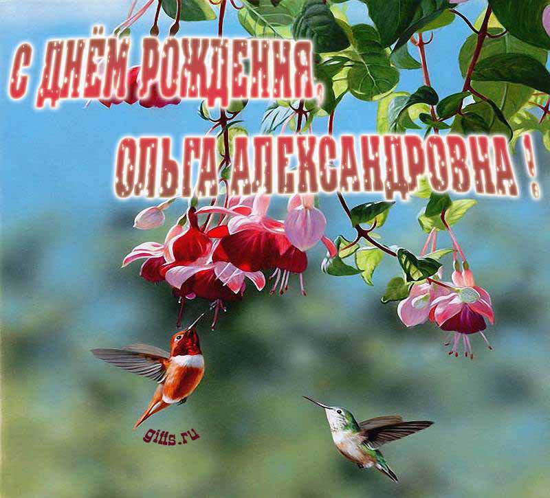 Весенние красивые картинки с надписями "С днём рождения, Ольга Александровна!". Весенние красивые картинки с надписями "С днём рождения, Ольга Александровна!".