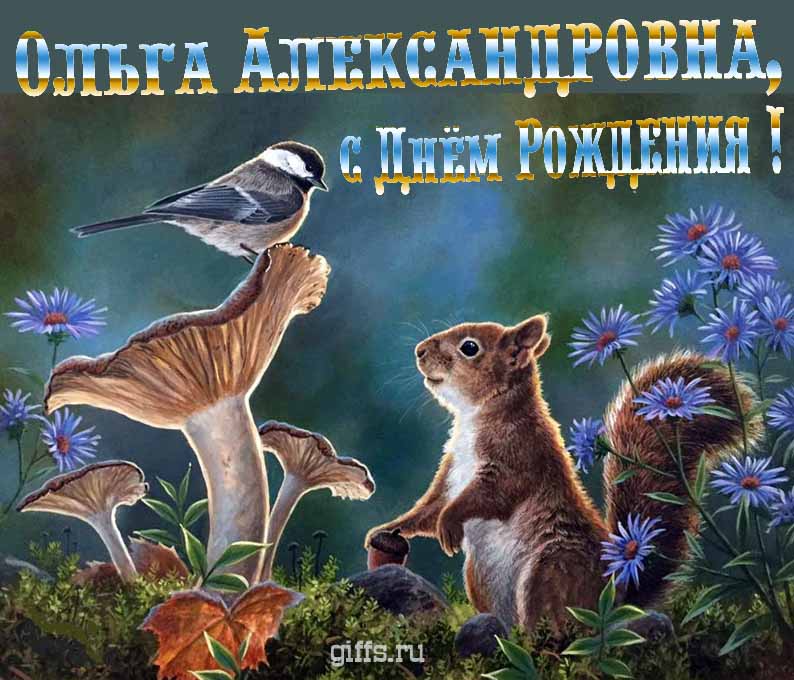 Смешная открытка с белочкой на день рождения, уважаемой Ольге Александровне. Смешная открытка с белочкой на день рождения, уважаемой Ольге Александровне.