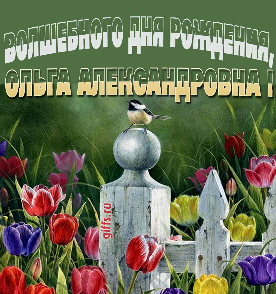 Волшебная открытка с тюльпанами ко дню варения Ольги Александровны. Волшебная открытка с тюльпанами ко дню варения Ольги Александровны.