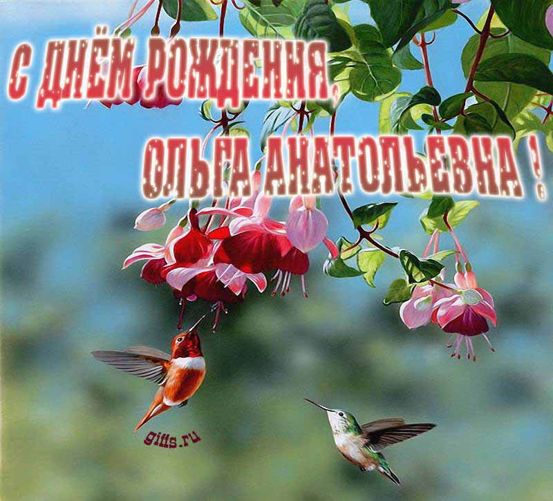Весенние красивые картинки с надписями "С днём рождения, Ольга Анатольевна!". Весенние красивые картинки с надписями "С днём рождения, Ольга Анатольевна!".