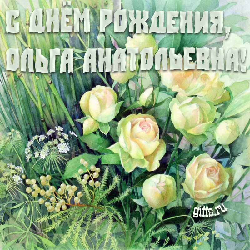 Именные картинки с белыми розами и текстом "С днём рождения, Ольга Анатольевна!". Именные картинки с белыми розами и текстом "С днём рождения, Ольга Анатольевна!".