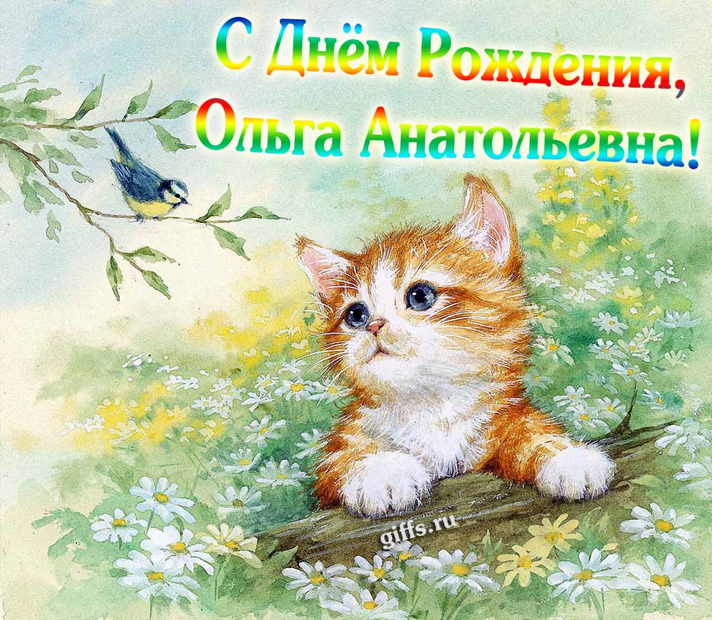 Летняя картинка с котёнком на ДР лично Ольге Анатольевне. Летняя картинка с котёнком на ДР лично Ольге Анатольевне.