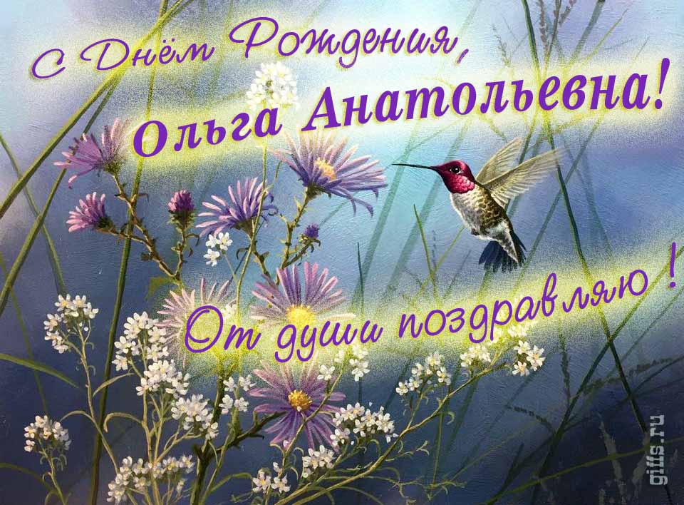 Красивая открытка с надписью "С днём рождения, Ольга Анатольевна! От души поздравляю!". Красивая открытка с надписью "С днём рождения, Ольга Анатольевна! От души поздравляю!".