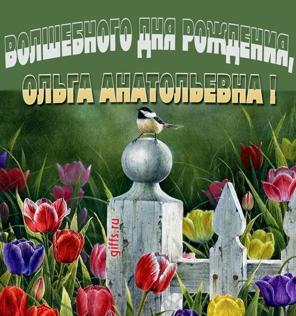 Волшебная открытка с тюльпанами ко дню варения Ольги Анатольевны. Волшебная открытка с тюльпанами ко дню варения Ольги Анатольевны.