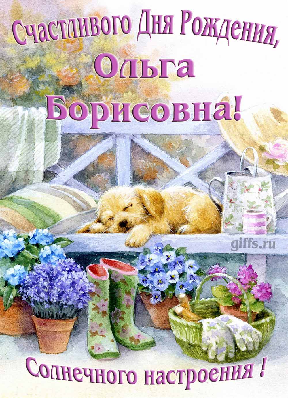 Забавная картинка с собачкой для именного поздравления Ольги Борисовны с ДР. Забавная картинка с собачкой для именного поздравления Ольги Борисовны с ДР.