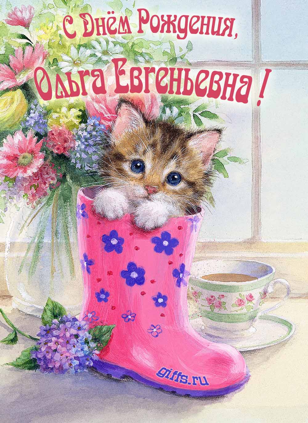 Милая картинка с котёнком на фоне букета цветов для Ольги Евгеньевны в день рождения. Милая картинка с котёнком на фоне букета цветов для Ольги Евгеньевны в день рождения.
