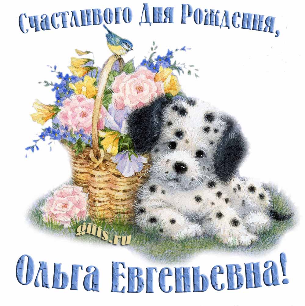 Смешная и прикольная открытка с собачкой и корзиной цветов для Ольги Евгеньевны. Смешная и прикольная открытка с собачкой и корзиной цветов для Ольги Евгеньевны.