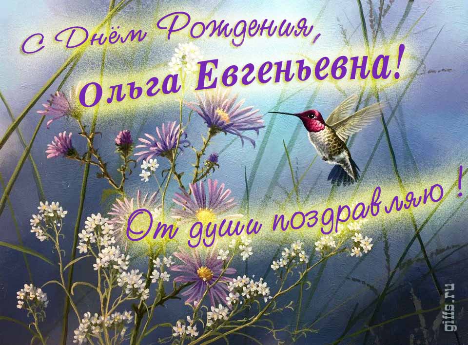 Красивая открытка с надписью "С днём рождения, Ольга Евгеньевна! От души поздравляю!". Красивая открытка с надписью "С днём рождения, Ольга Евгеньевна! От души поздравляю!".